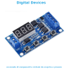 Programmable Digital Static Timer Module with Display