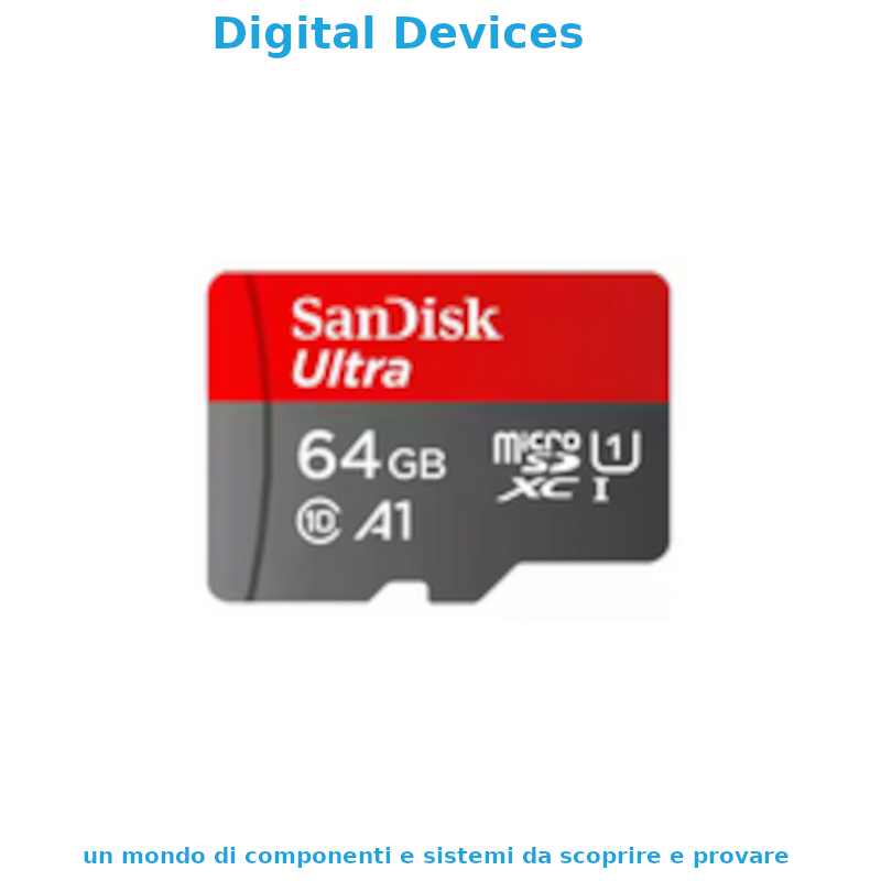Memory Card - SD - microSD - 512 MB - 8 16 32 64 128 GB